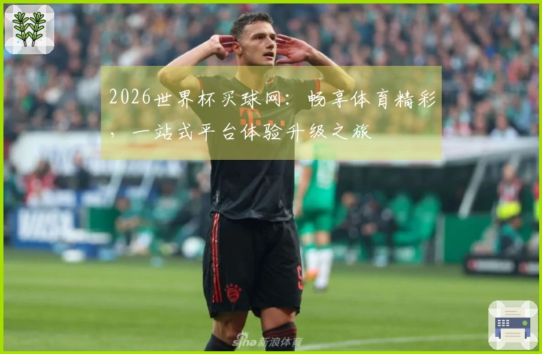 2026世界杯买球网：畅享体育精彩，一站式平台体验升级之旅