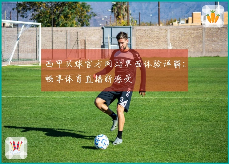 西甲买球官方网站界面体验详解：畅享体育直播新感受
