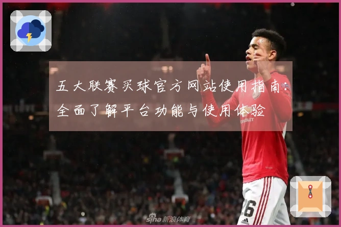 五大联赛买球官方网站使用指南：全面了解平台功能与使用体验