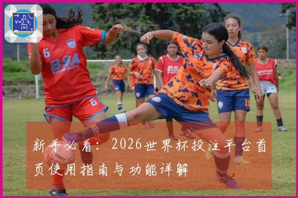 新手必看：2026世界杯投注平台首页使用指南与功能详解