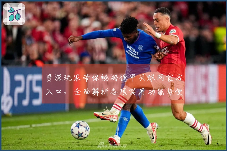 资深玩家带你畅游德甲买球网官方入口，全面解析各项实用功能与便捷体验