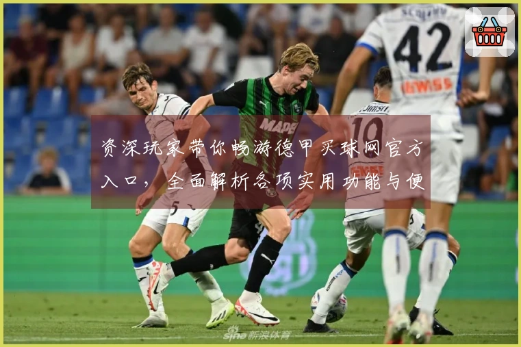 资深玩家带你畅游德甲买球网官方入口，全面解析各项实用功能与便捷体验