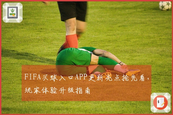 FIFA买球入口APP更新亮点抢先看，玩家体验升级指南