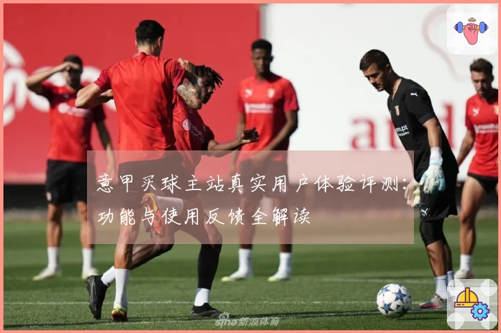 意甲买球主站真实用户体验评测：功能与使用反馈全解读
